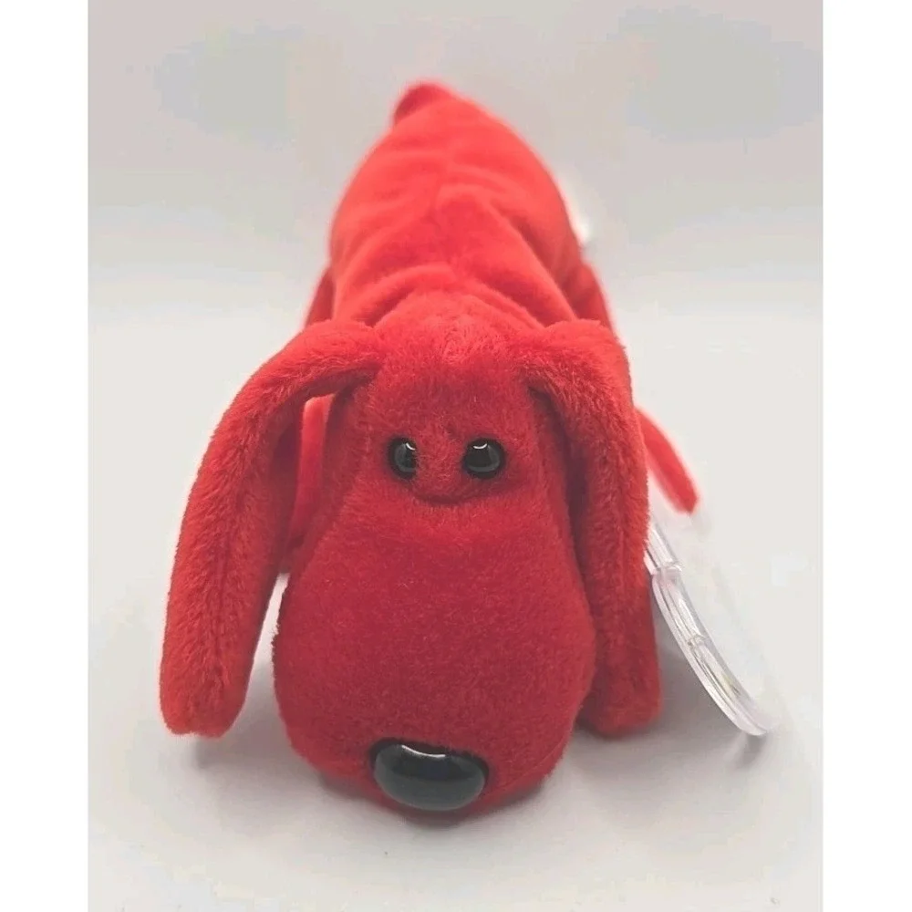 Ty rover was